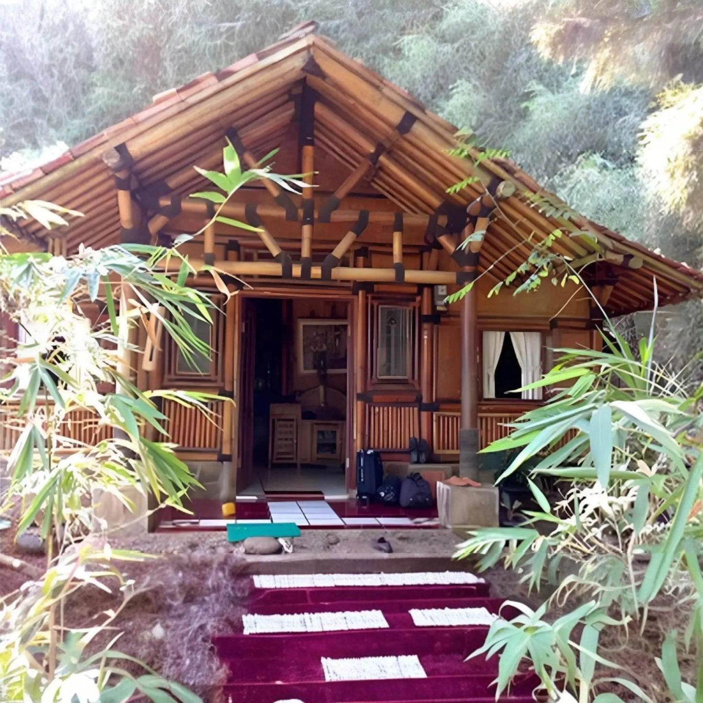 ECO BAMBO Bamboo House Stylish Bamboo Villa for Eco-Conscious Natural Living 