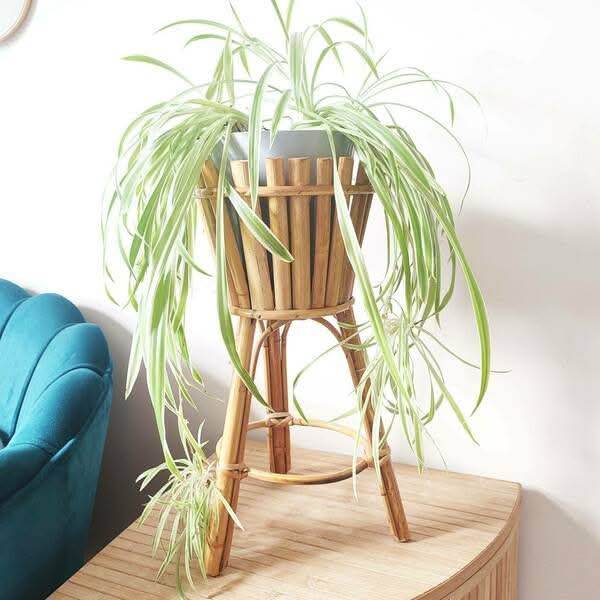 ECO BAMBO Bamboo Stand Modern Bamboo Plant Stand – Elegant and Sustainable