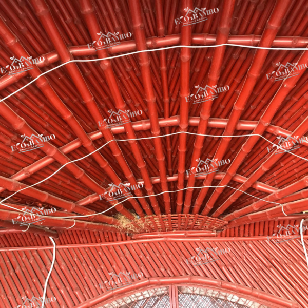 Untitled_design_29 (1)