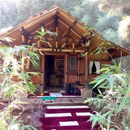 Stylish Bamboo Villa for Eco-Conscious Natural Living 