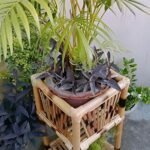 Exterior Decor