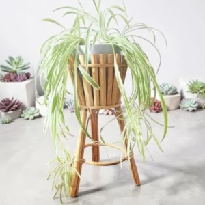 Handcrafted Bamboo Plant Stand with Flower Pot Holder | Indoor & Outdoor Decorative Plant Shelf