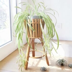 Handcrafted Bamboo Plant Stand with Flower Pot Holder | Indoor & Outdoor Decorative Plant Shelf