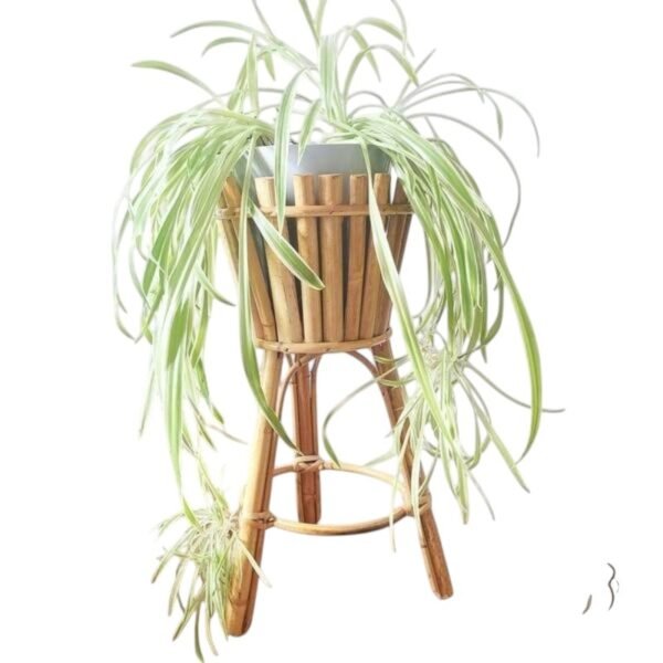 imgi_70_bb77183bf428d0e609d8cbff4d7c4cf6 imgi_70_bb77183bf428d0e609d8cbff4d7c4cf6